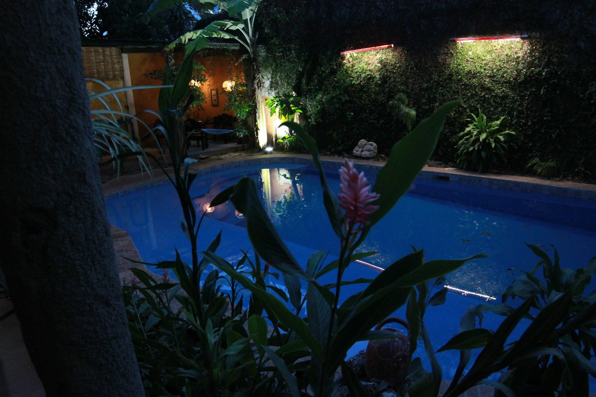 La Tora Hotel Managua Luaran gambar